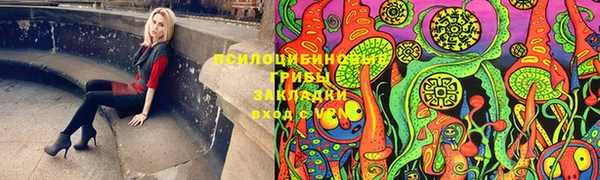 круглые Коряжма