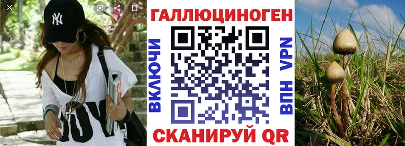 Псилоцибиновые грибы Psilocybe  Сосногорск 